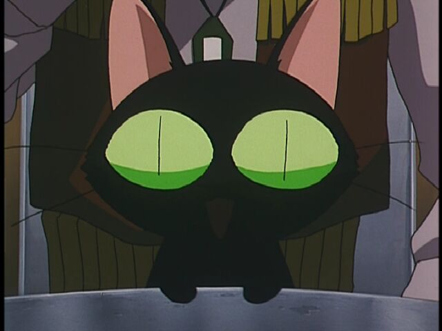 trigun black cat